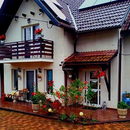 Edelweiss Ilinca Apartment Zarnesti Luaran gambar