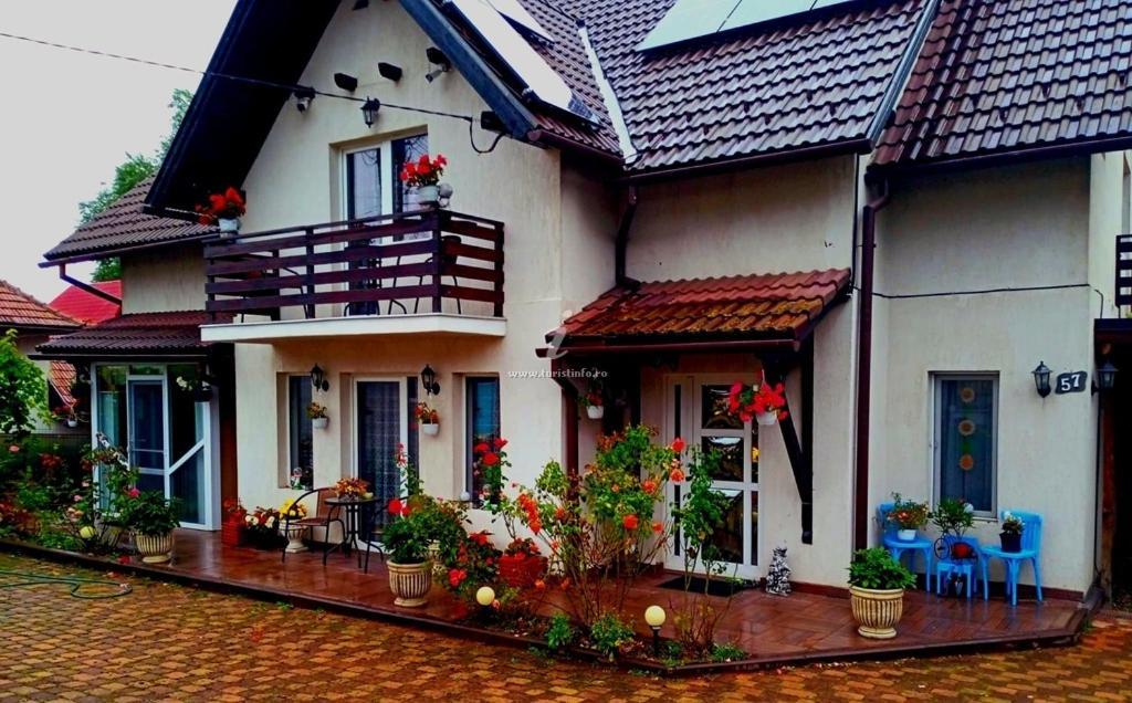 Edelweiss Ilinca Apartment Zarnesti Luaran gambar