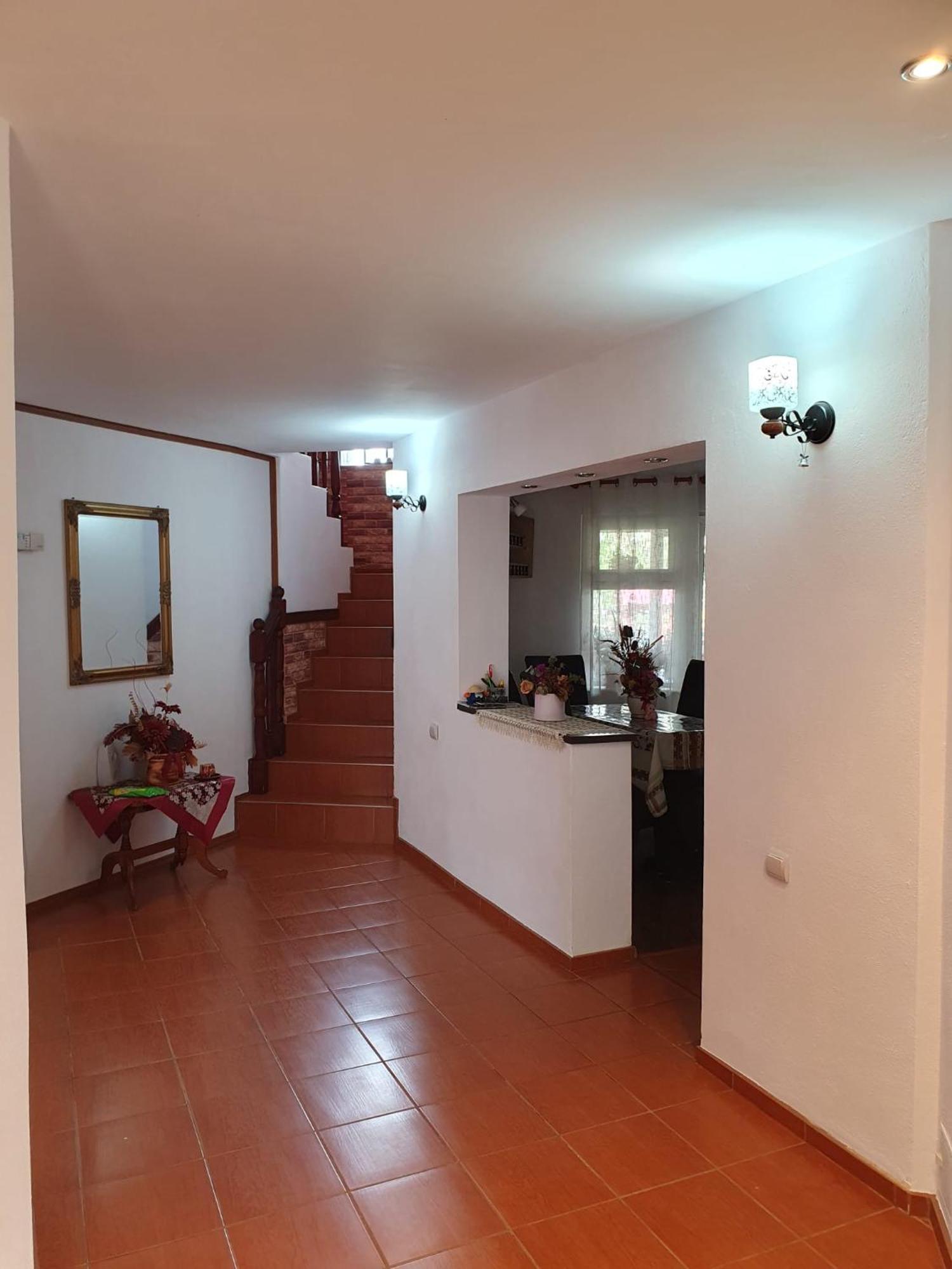 Edelweiss Ilinca Apartment Zarnesti Luaran gambar