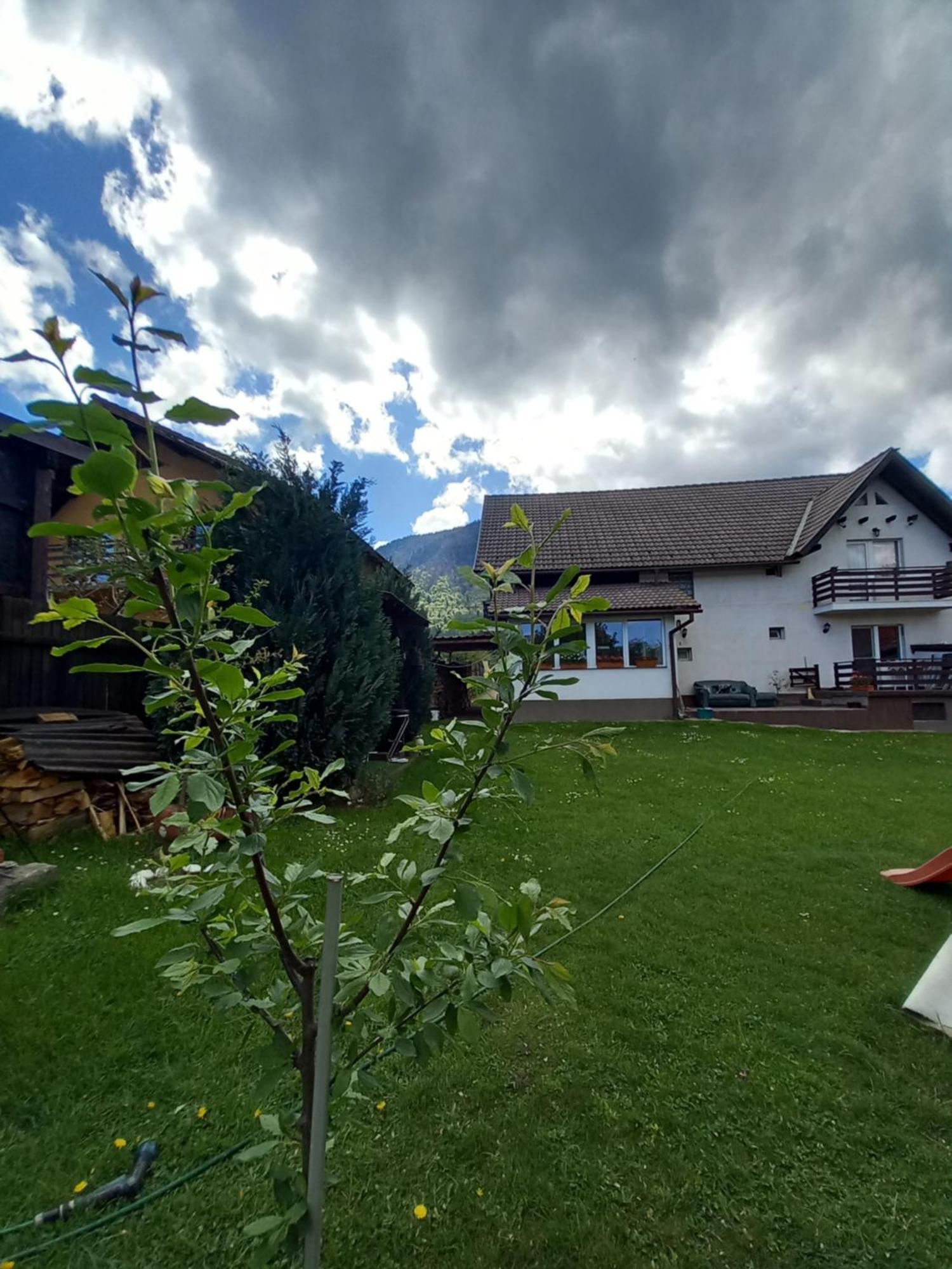 Edelweiss Ilinca Apartment Zarnesti Luaran gambar