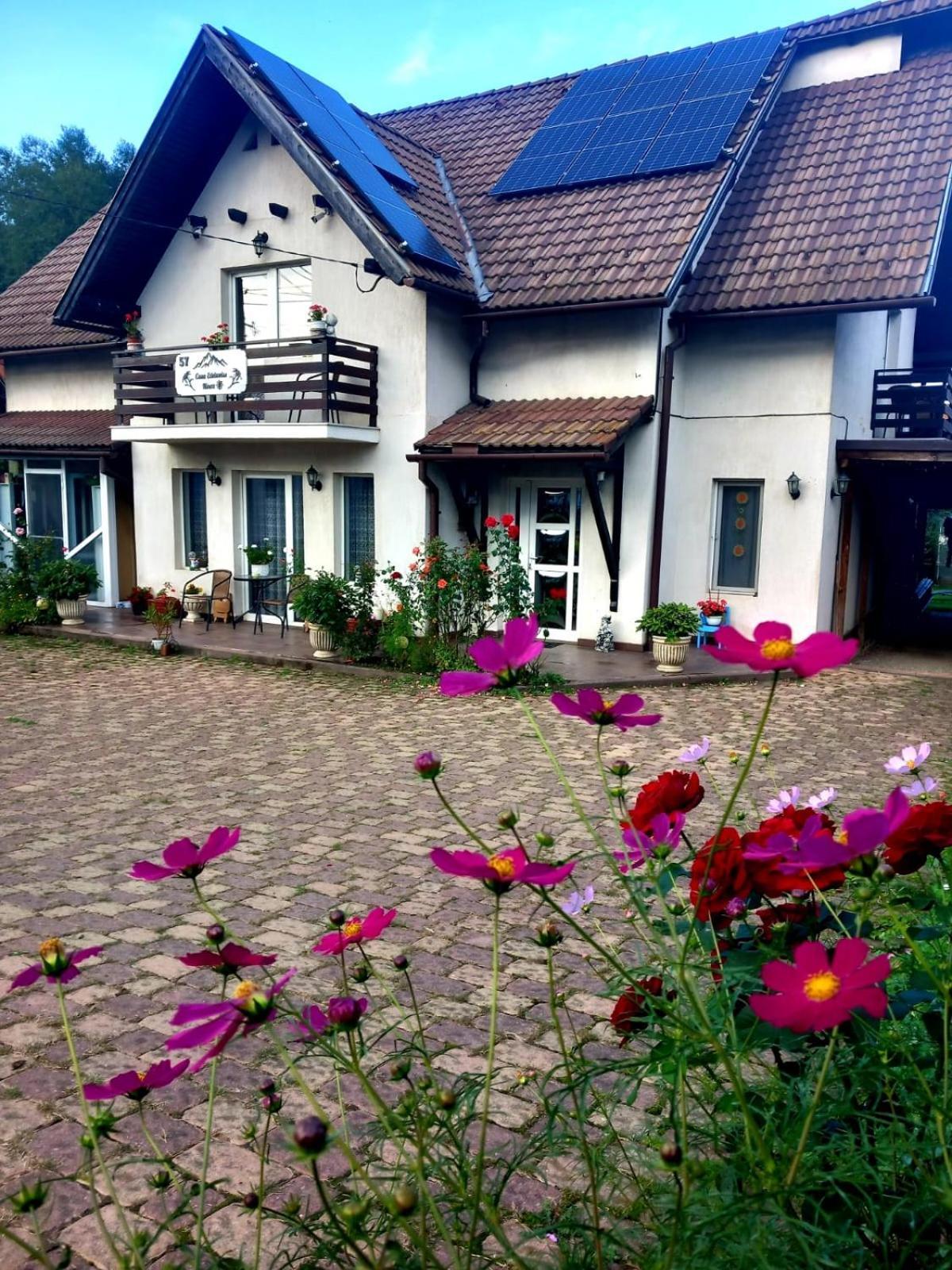 Edelweiss Ilinca Apartment Zarnesti Luaran gambar